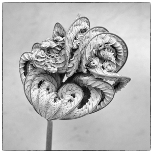 2019-09-14_122619_02