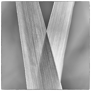 2020-06-19_151837_02